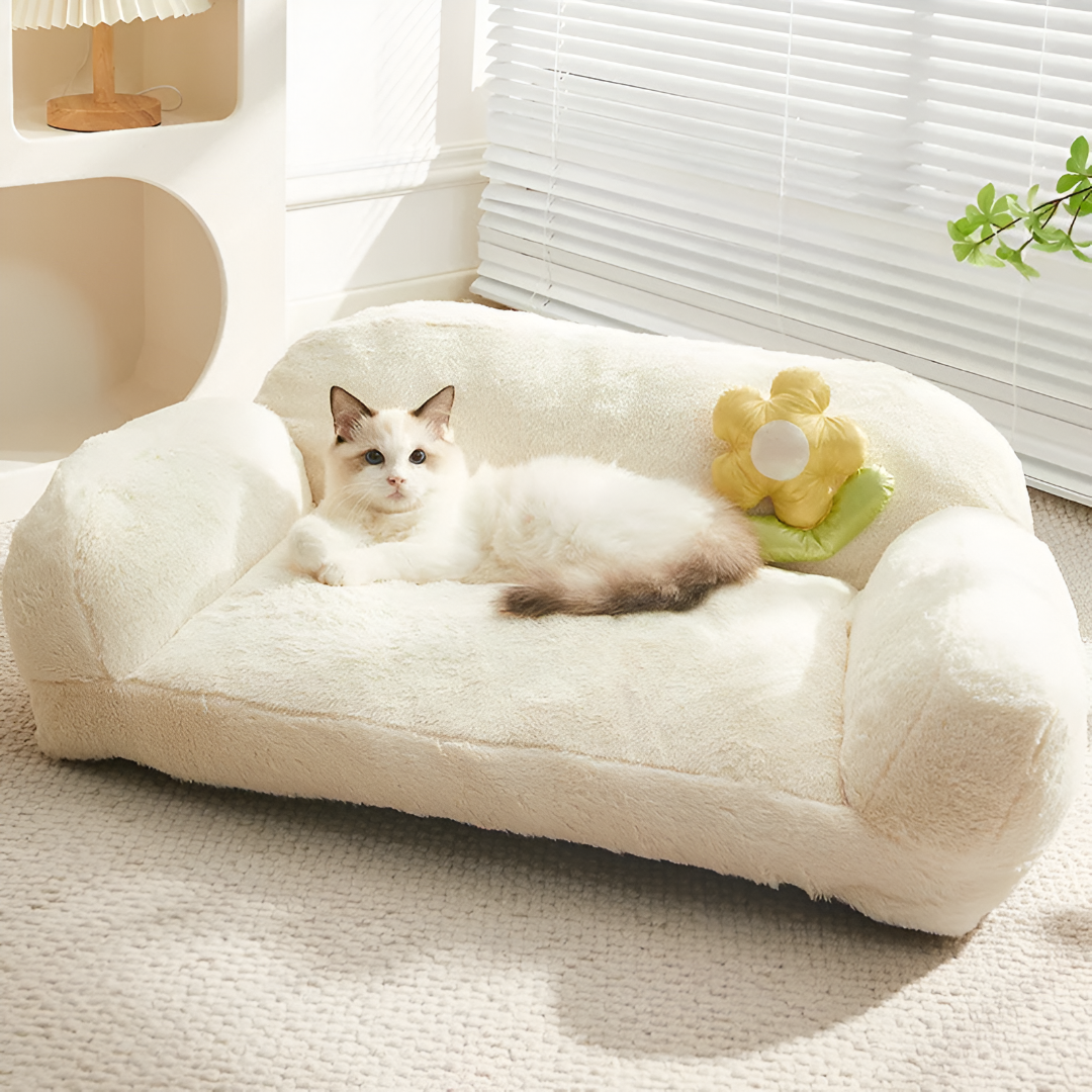 Comfort First — Choosing the Perfect Pet Bed