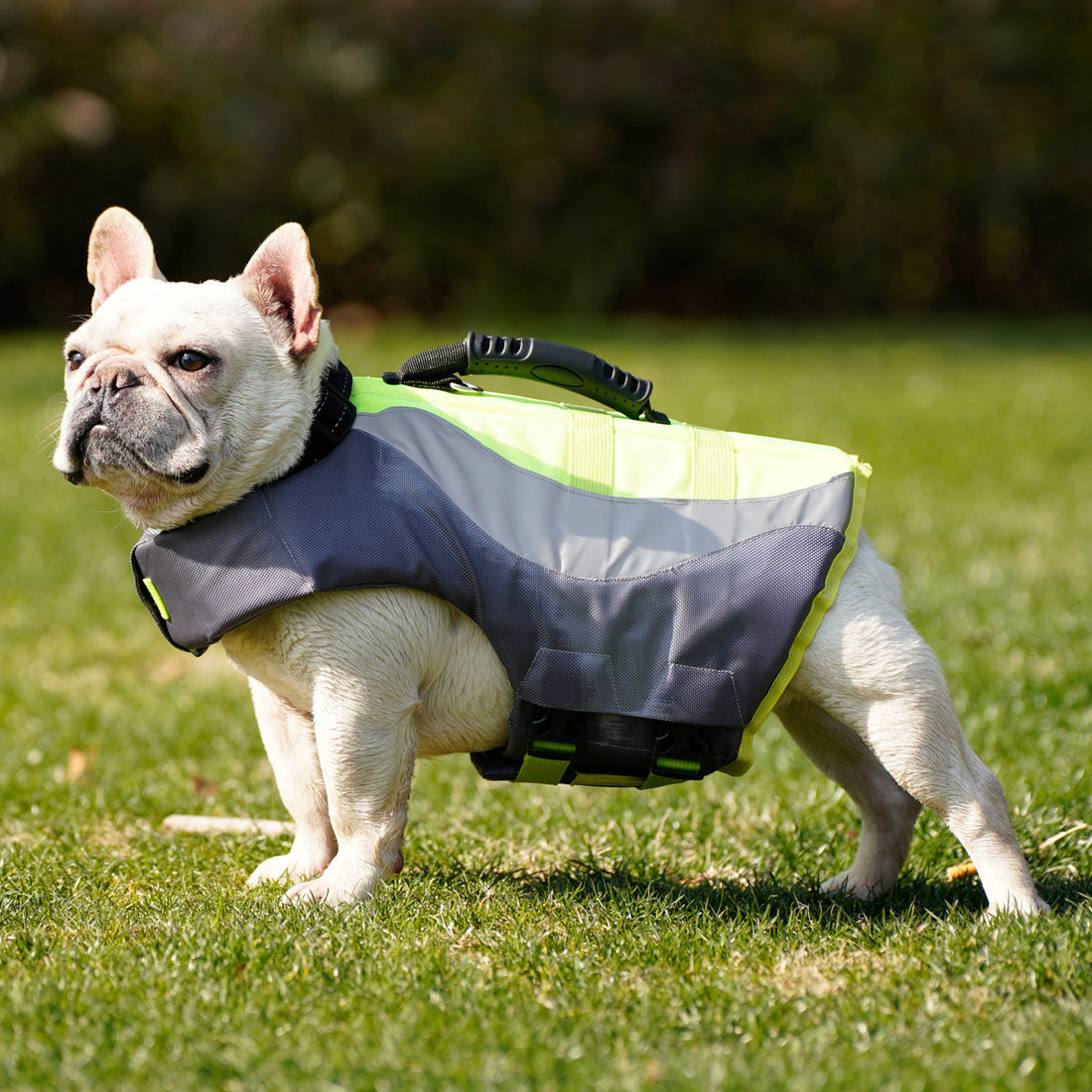 Reflective Pet Dog Life Jacket