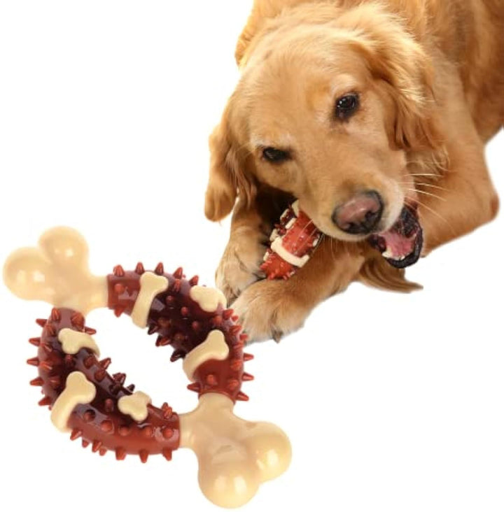Pet Molar Toy