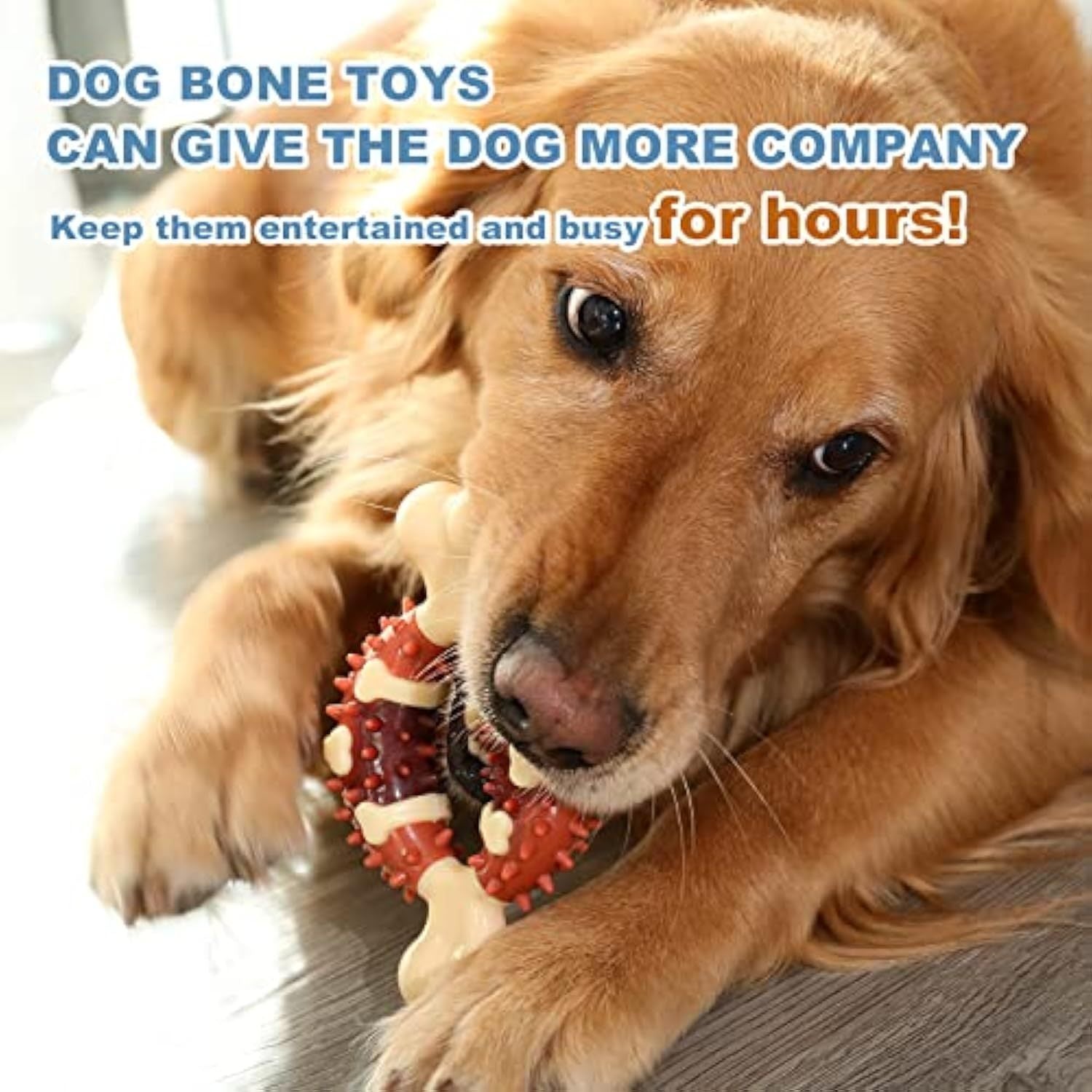 Pet Molar Toy