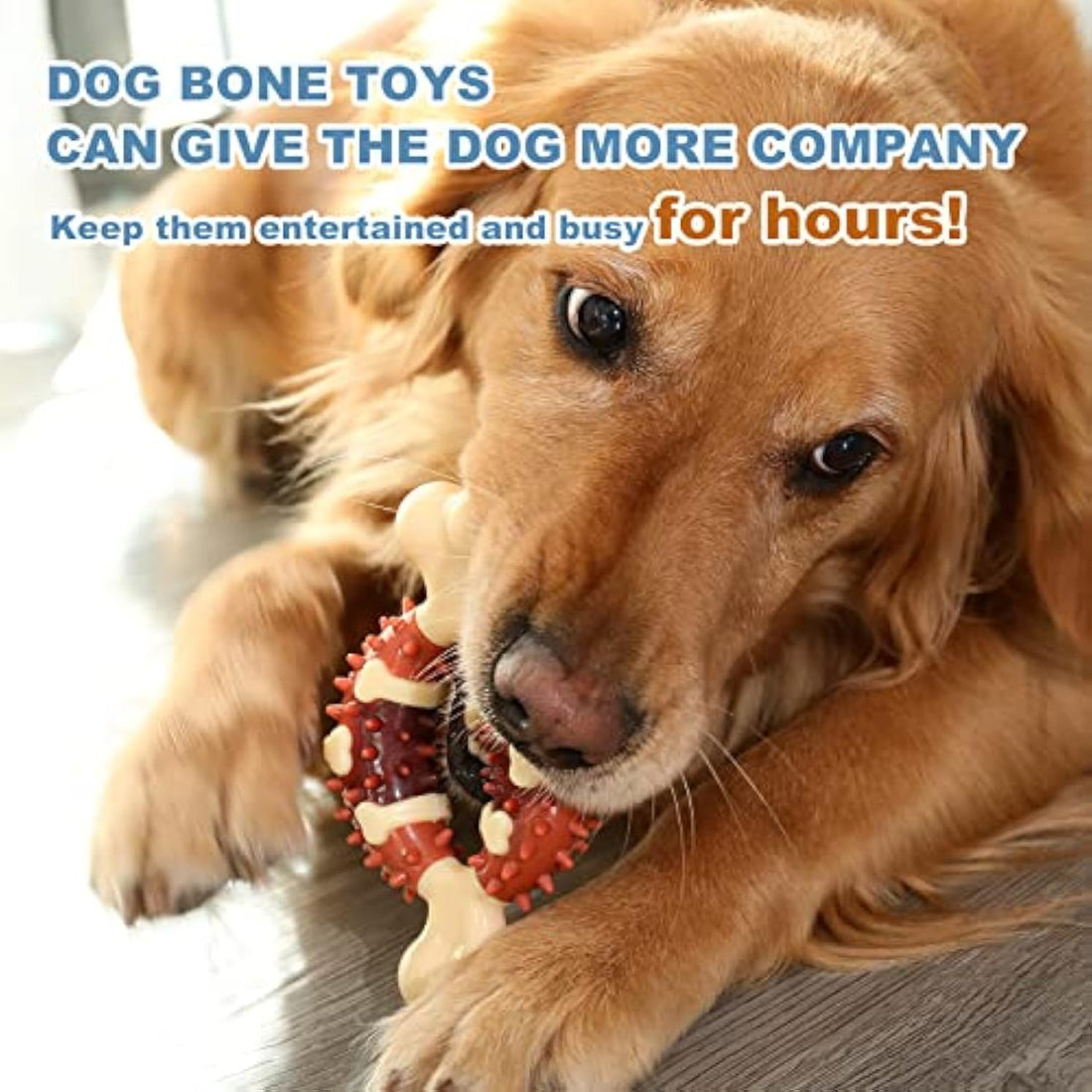 Pet Molar Toy