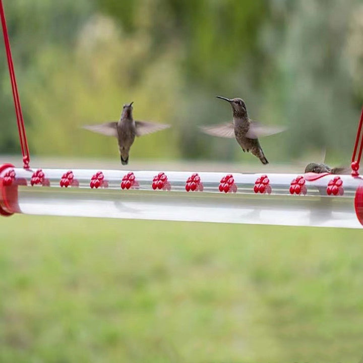 Hanging Long Tube Transparent Bird Feeder