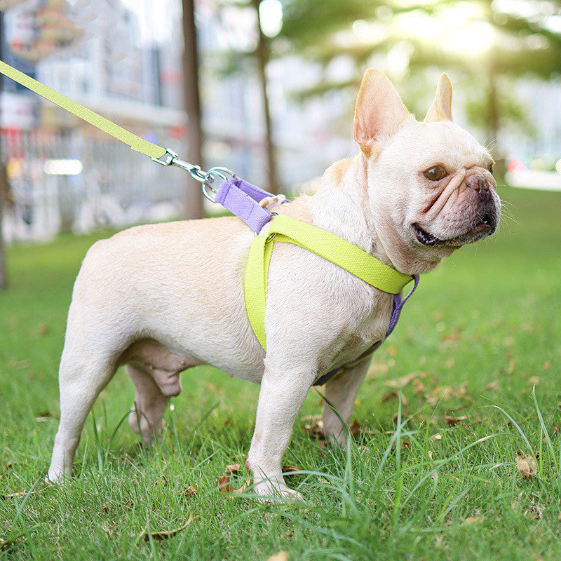 Pet Drawstring Vest-style Leash