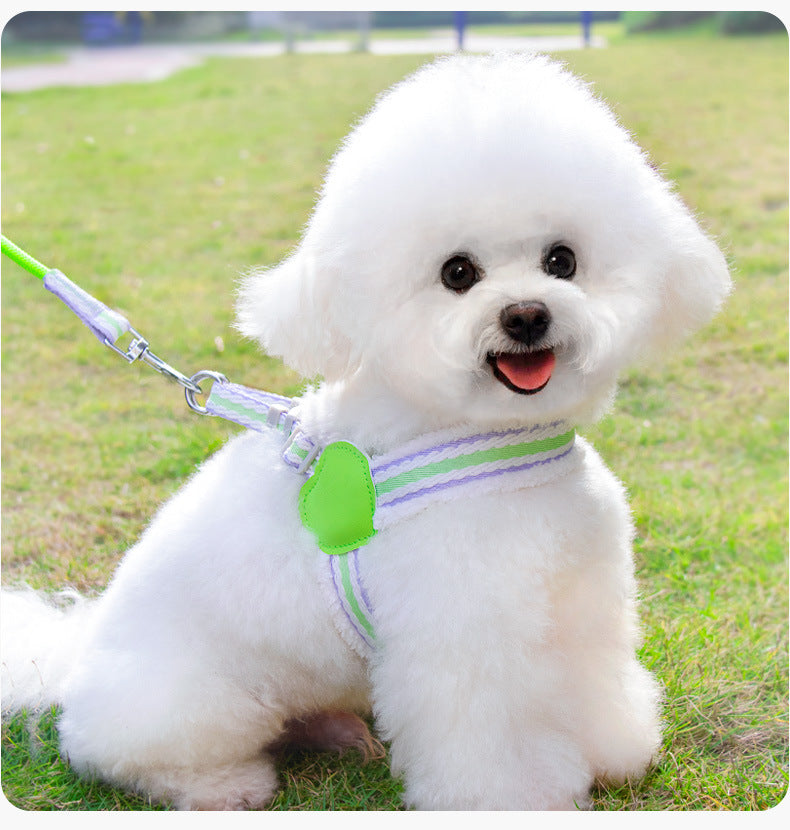 Summer Breathable Leash Pet Supplies