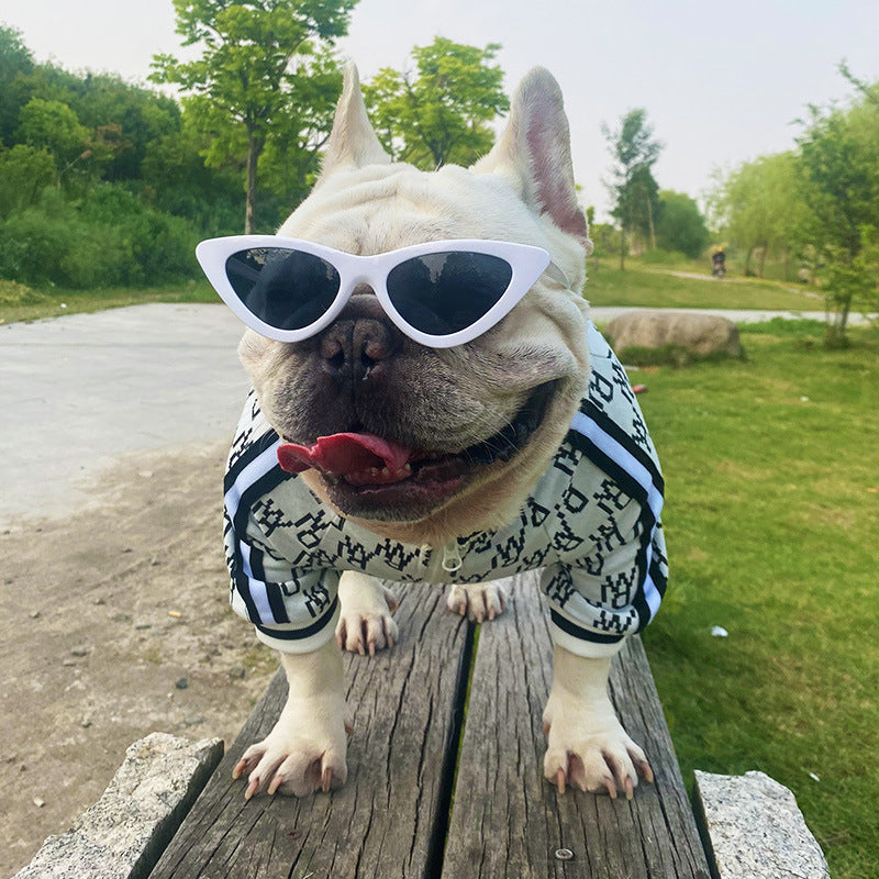 Zip Up Jacket Stretchy Pet Clothes