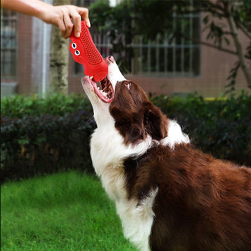 Vocal Rugby Pet Toys