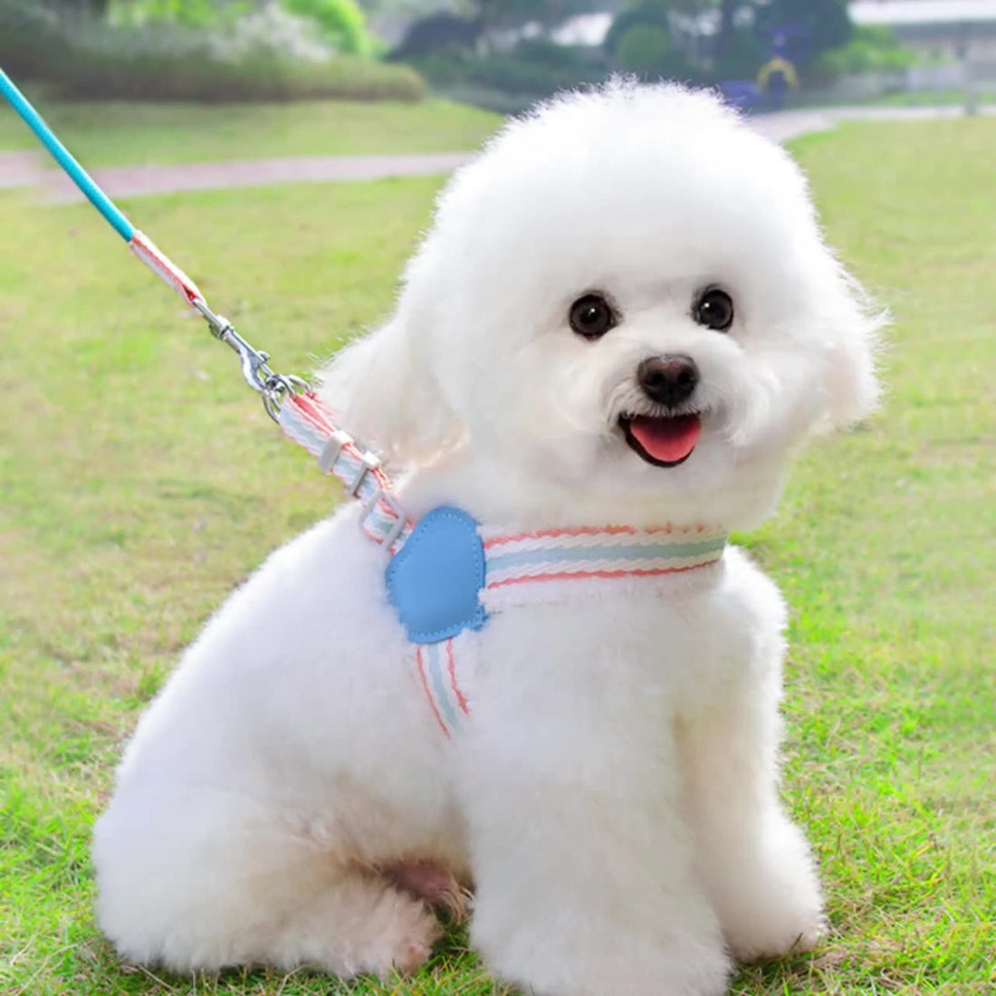 Summer Breathable Leash Pet Supplies