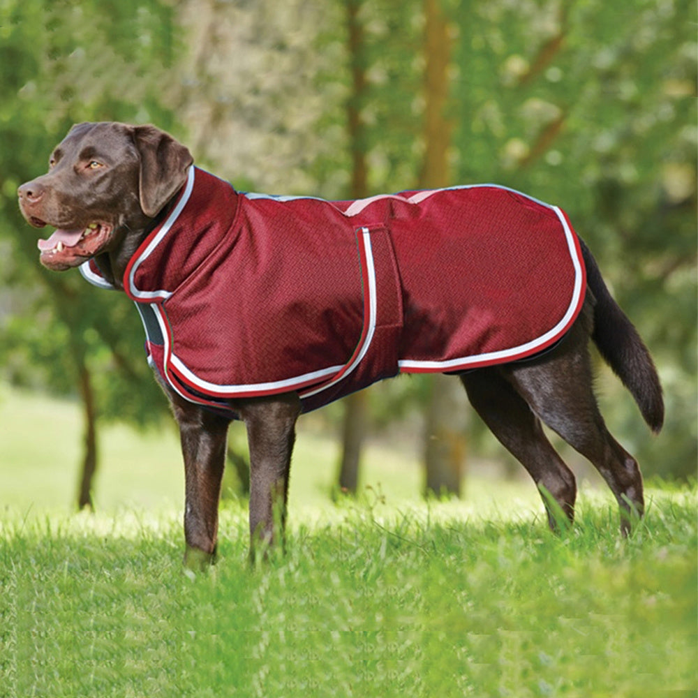 Winter Warm Pet Leisure Waterproof Jacket