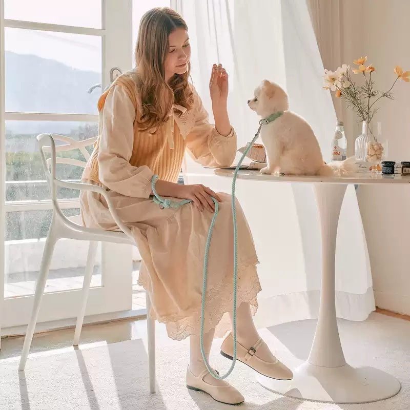 Pet Hand Holding Rope Dog Leash