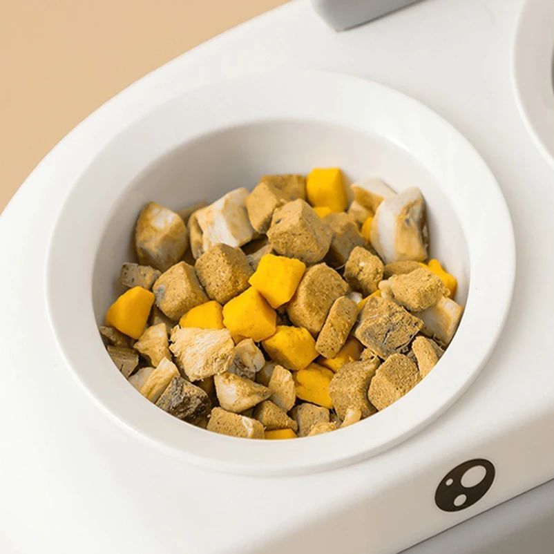 Duck Design Pet Double Bowl