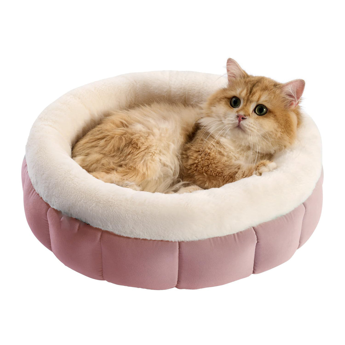 Round Washable Pet Bed