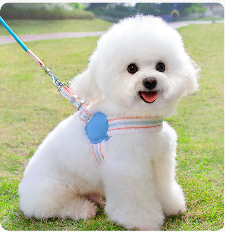 Summer Breathable Leash Pet Supplies