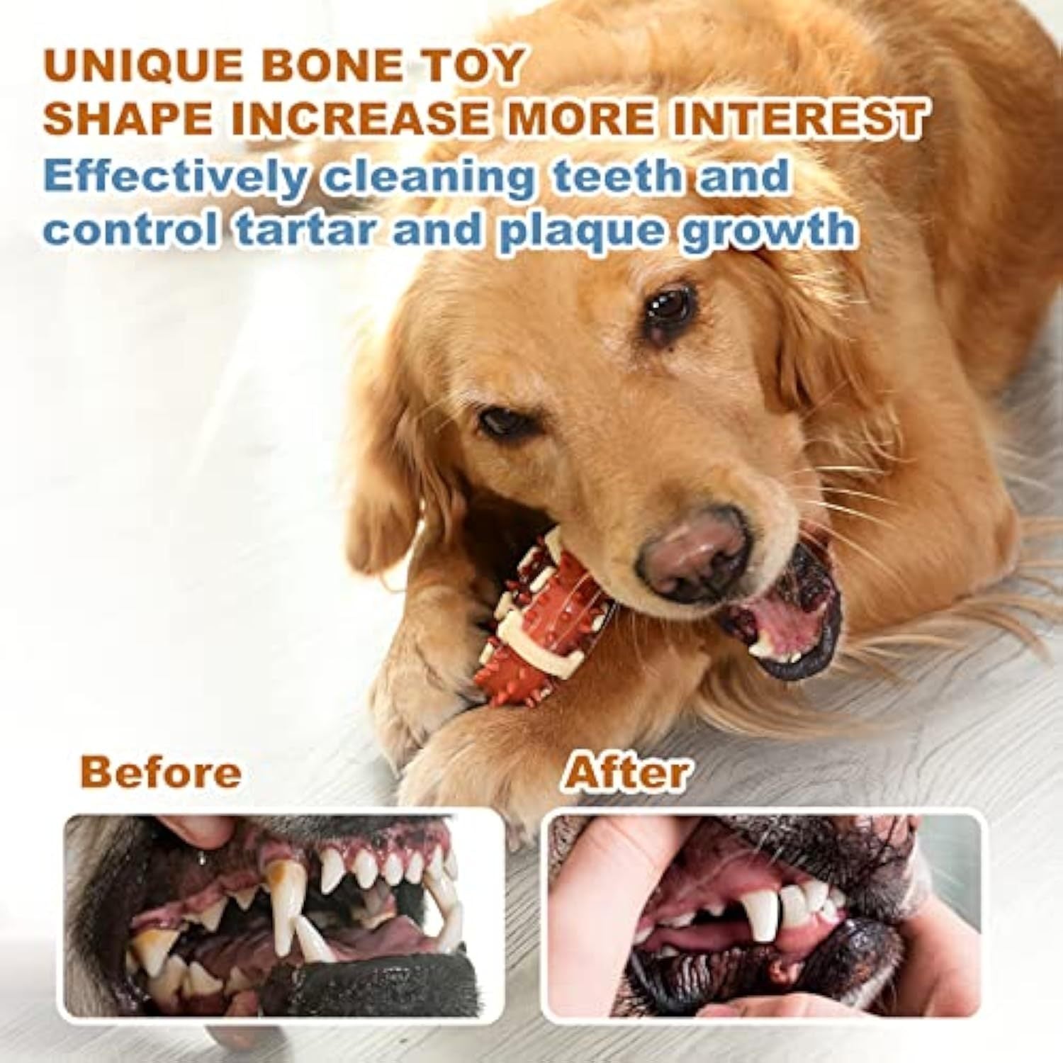 Pet Molar Toy