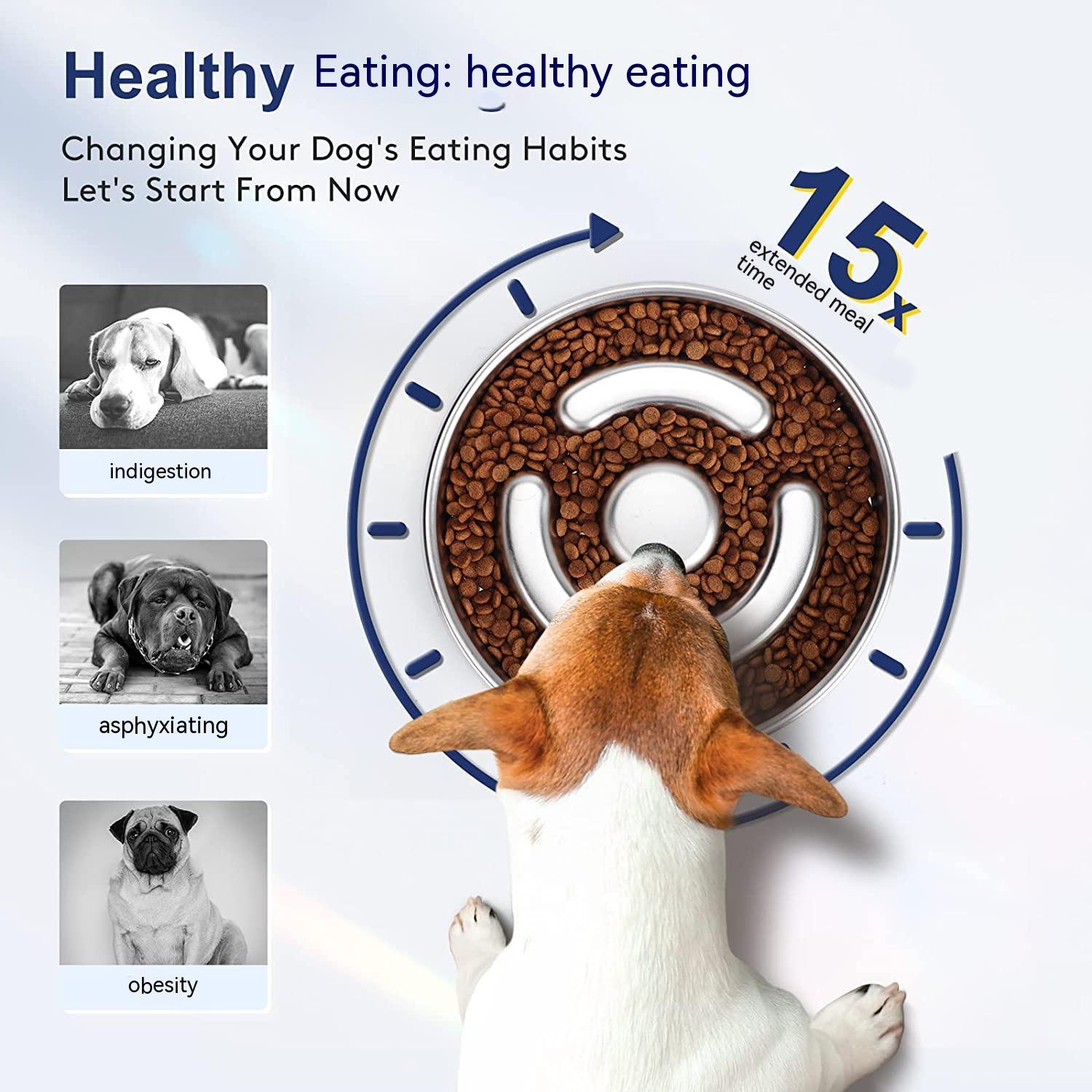 Pet Slow Feeding Bowl