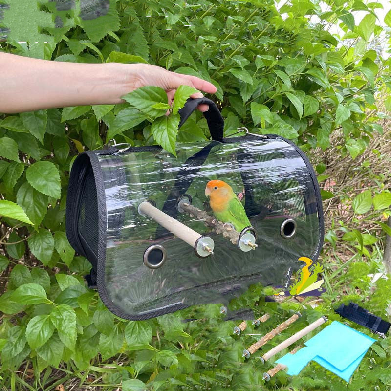 Take-away Cage Parrot Outing Travel