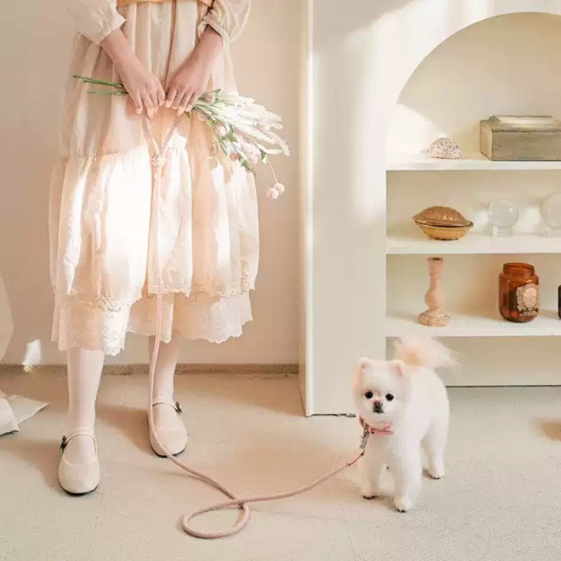 Pet Hand Holding Rope Dog Leash