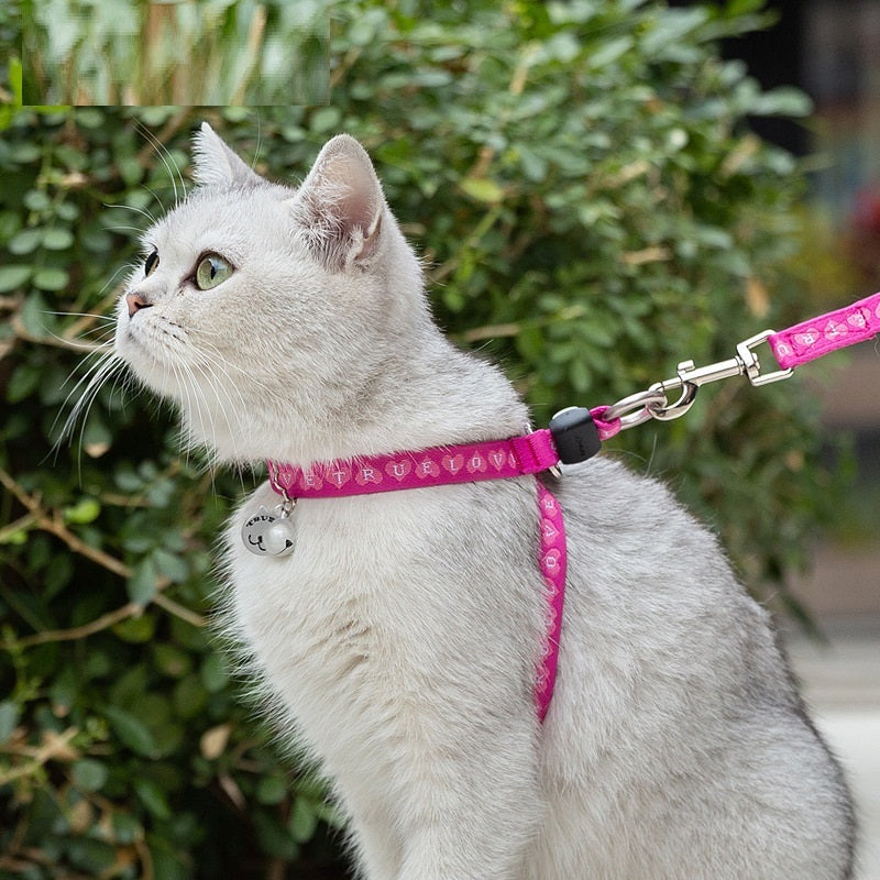 Pet Cat Bell Chest Strap Teddy Leash