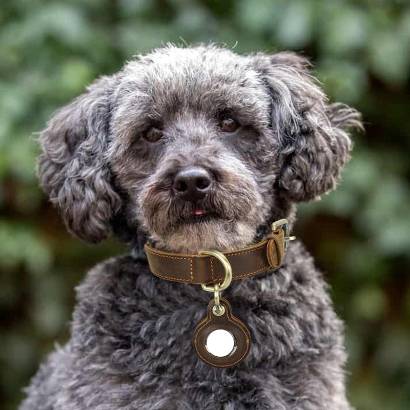 Retro Double-sided Cowhide Dog Collar Handmade Halter Positioning Tracking Anti-lost