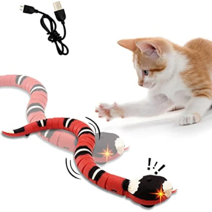 Interactive Cat Toy